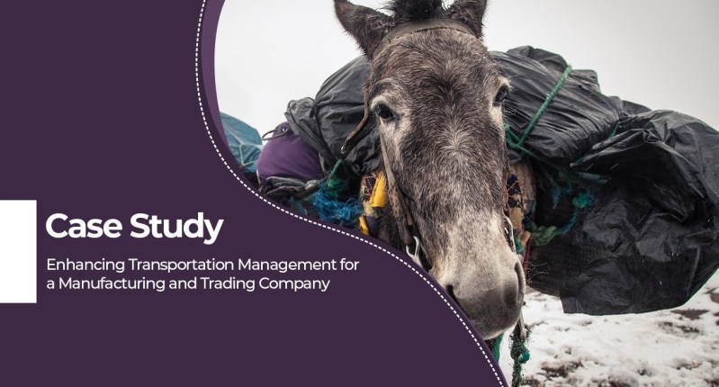 Case Study: Enhancing Transportation Management
